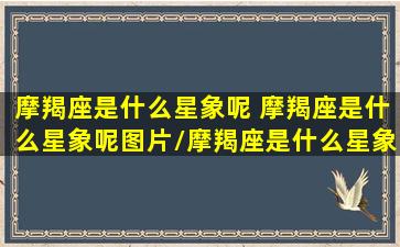 摩羯座是什么星象呢 摩羯座是什么星象呢图片/摩羯座是什么星象呢 摩羯座是什么星象呢图片-我的网站